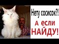 Лютые приколы. КОТ ИЩЕТ СОСИСКИ!!! Попробуй не засмеяться! РЖАКА ДО слёз! – Domi Show!