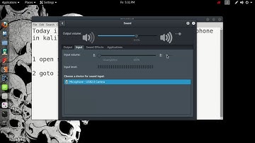 How to enable the microphone audio of easyscreen cast in kalilinux