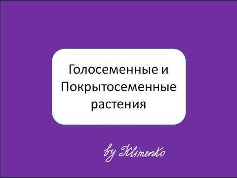 Видео: Разница между перистыми и пальчатыми