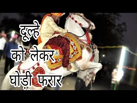 ghodi dulhe ko lekar bhagi