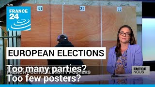 EU Elections: Too many parties? Too few posters? • FRANCE 24 English