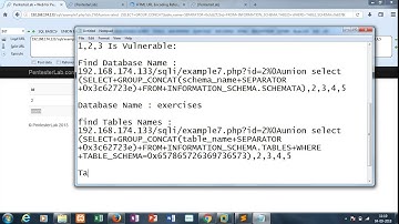 Web For Pentester SQL Injection Example 7 Solution