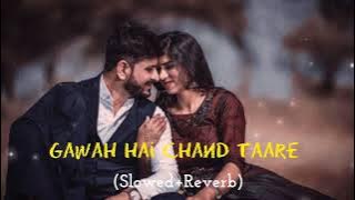 Gawah Hai Chand Taare 🥀❤️ (Slowed Reverb) | Kumar Sanu | Damini | Romantic Lofi Song 💖✨