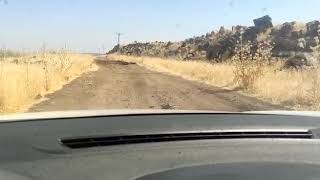 Bu Çağda Bu Yol