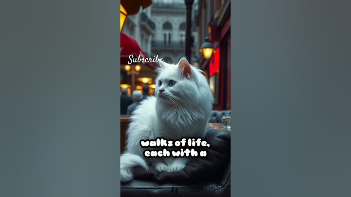 Madni did a devious magic trick for his friend😂😂