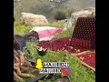قلت انا ما عاد لي بالهواء طاقه قلت انا ما عاد لي بالهواء طاقه