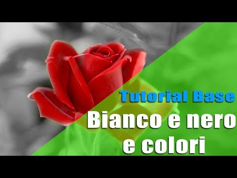 Video: Colore nero negli interni e combinazione con altri colori