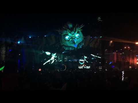 Armin Van Buuren Live Edc 2015