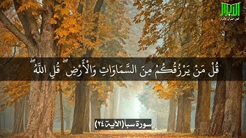 آياتٌ مختارةٌ مِنَ الذكرِ الحكيم سورةُ سبأ (الآية ٢٤ ) #هل_القرآن_الأبرار