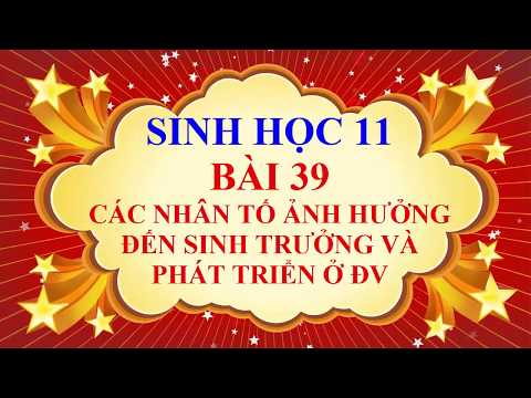 Sinh học lớp 11 - Bài 39 - Các nhân tố ảnh hưởng đến sinh trưởng và phát triển ở động vật