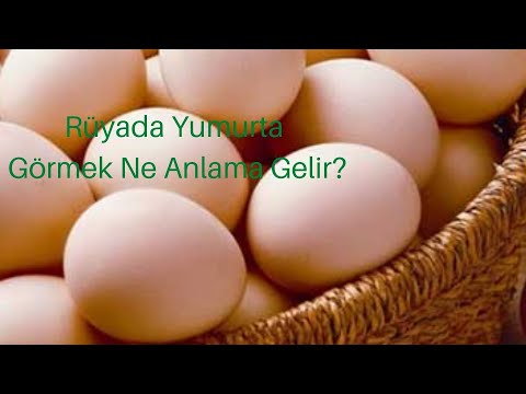 Rüyada Yumurta Görmek Ne Anlamadır