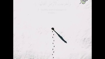 تلاوة خاشعة للقارئ رعد الكردي سورة الزلزلة