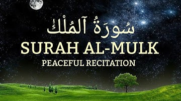 سورة الملك، السورة التي تشفع لقارئها، بتلاوة خاشعة تأخذك إلى عالم من الطمأنينة