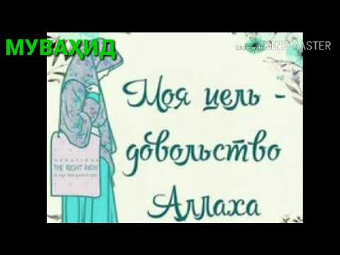 История о жене Харуна ар Рашида