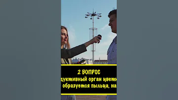 Как называется мужской репродуктивный орган цветковых растений, в котором образуется пыльца?
