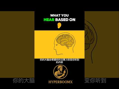 Do You Hear “Green Needle” or “Brainstorm”? 👂🎧 | Your Brain’s Playing Tricks! Part 4 #hyperboomx by HYPERBOOMX