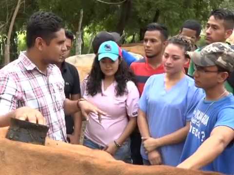 cerdomus baita Qué es un Zootecnicas?