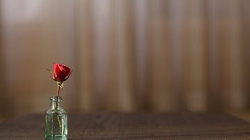 Challenges Facing the Muslim Minorities in Western Countries - 