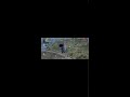 free fire live stream #streamwithglip