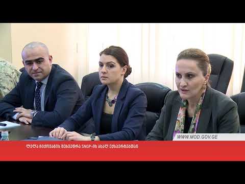 ლელა ჩიქოვანის შეხვედრა SNGP-ის ახალ ექსპერტებთან