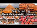 #48 Germany. Hof Bartels Kürbis Ausstellung . Выставка тыкв🎃kürbispyramide. Пирамиды из тыкв.