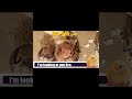 अंडे से चूजा कैसे निकलता है ? Step - 3 || Hatching Egg || TechMech-G || shorts