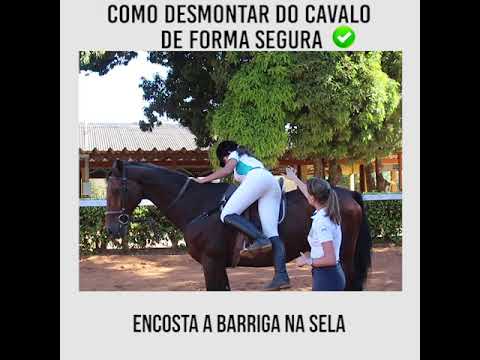 Vídeo: Como Desmontar Um Cavalo