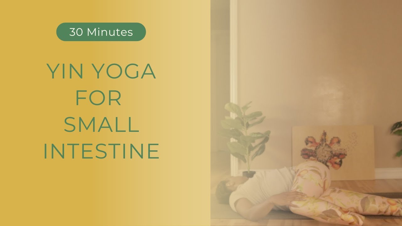 Meridian Series | Yin Yoga For The Small Intestine Meridian - YouTube