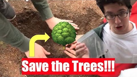 Community Learning Project: Plant the Trees