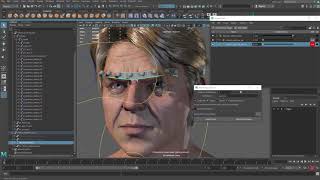 joint based facial expression 03 eyebrow global ctrl