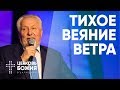 Тихое веяние ветра | Сергей Ряховский | #cogmos