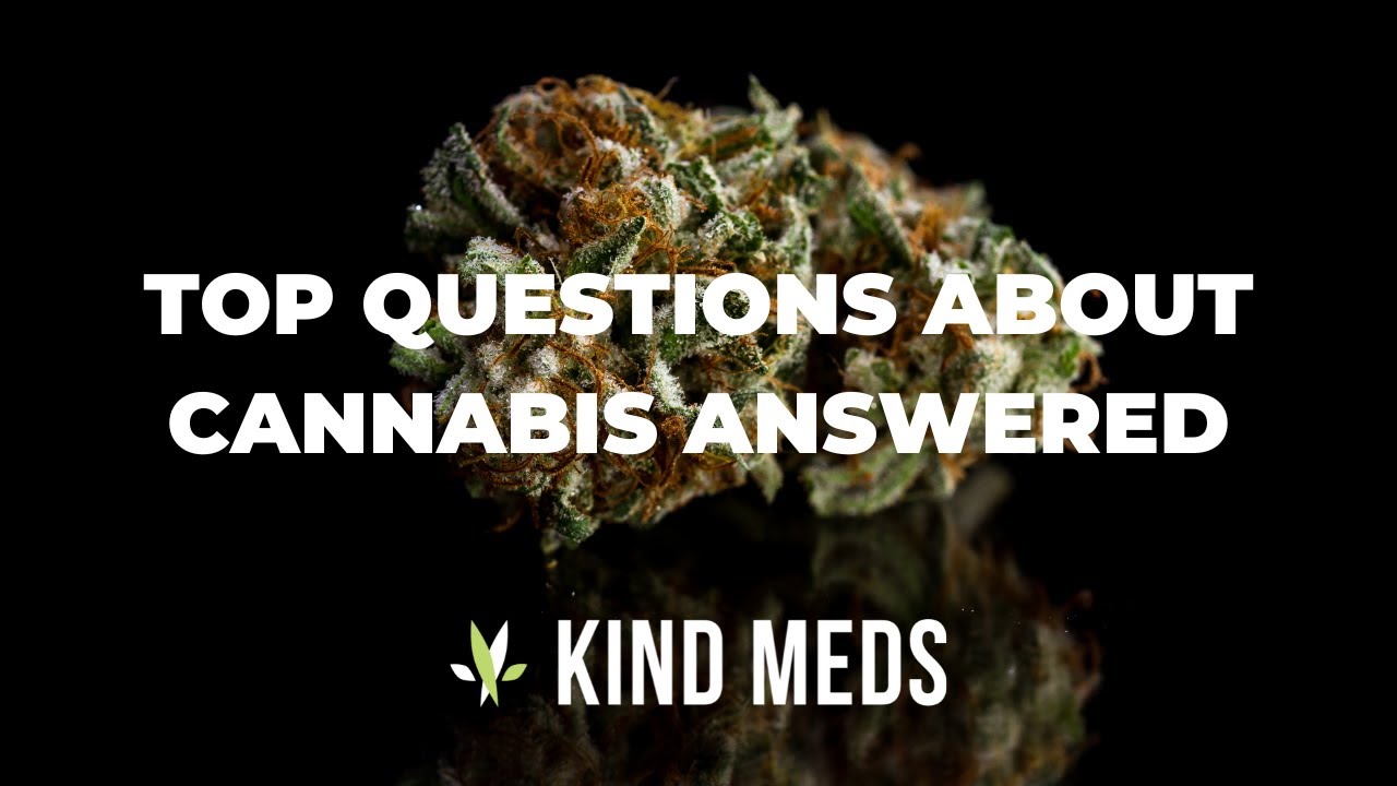 Top Questions About Cannabis Answered