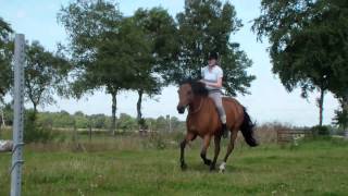 Bonita jumping tackless