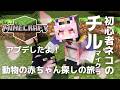 【 #minecraft 】ほぼ雑談あさひめみマイクラ #姫宮レーニャ / Vtuber