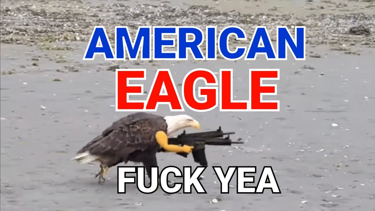 American Eagle Fuck Yea Youtube