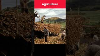 Natural Resources Of Mozambique