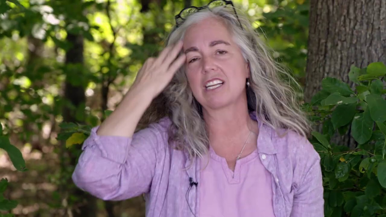 Human Capital Bond Markets - Baltimore Edition (FULL HD)