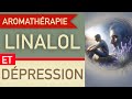 Linalol et dpression