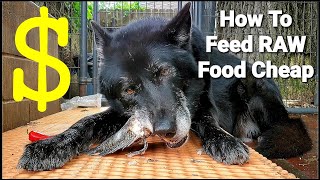 I show here how buy raw food for my dogs. am fortunate we can still
purchase cheaply in bulk quantities during cov!d 19 lockdown
restrictio...