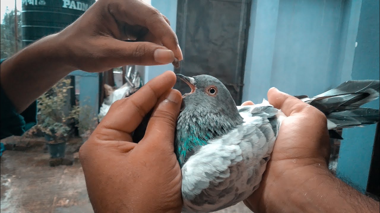 ডাকাডাকি সমস্যার দিন শেষ!