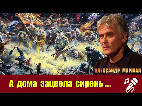 А Маршал А дома зацвела сирень