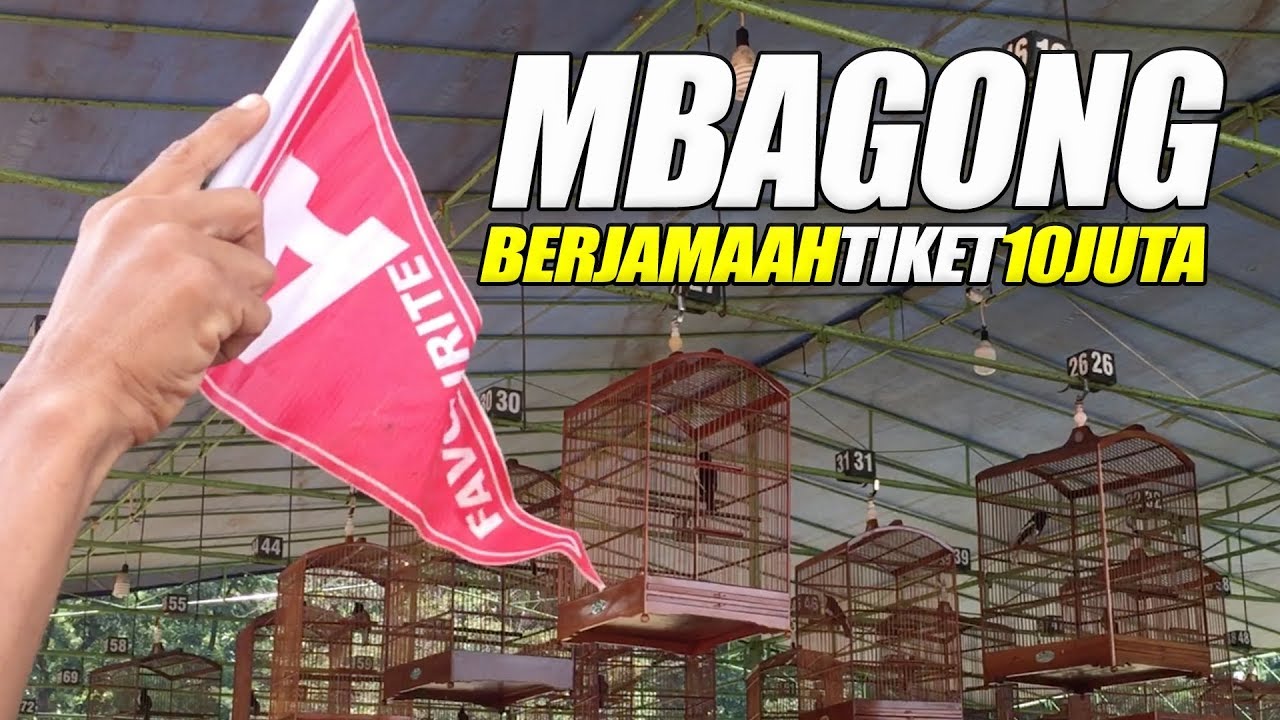 Aksi TAXI, THE ROCK dan JUVENTUS | Kacer TIKET 10 JUTA BnR Award MBAGONG Berjamaah