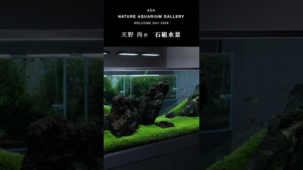 Breathtaking World of Nature Aquarium] ADA NATURE AQUARIUM GALLERY