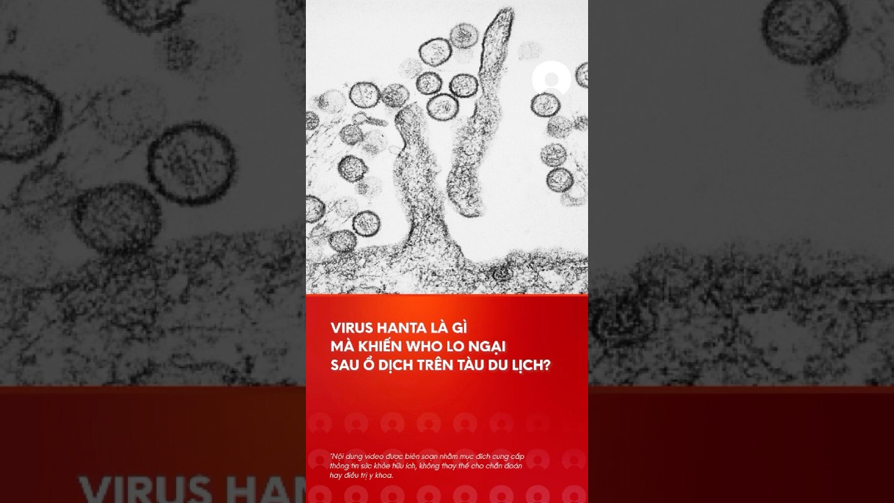 Virus Hanta lÃ  gÃ¬ mÃ  khiáº¿n WHO lo ngáº¡i sau á»• dá»‹ch trÃªn tÃ u du lá»‹ch? #hantavirus