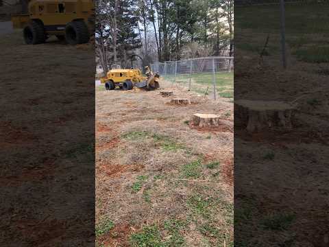 What....will...happen?  