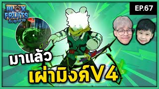 วิ่งไวมากกกกกกกกกกกก ! | Bloxfruit กับลูกชาย EP67