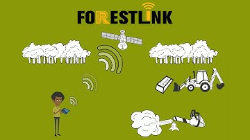 FORESTLINK: The Future of Rainforest Protection