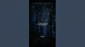 القرآن الكريم مع تلاوة جميلة🫠🎧