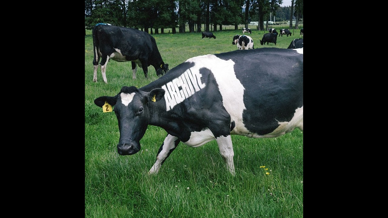 Amadeo Savio - Way Back