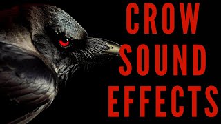 CROW SOUND EFFECTS - Crow Sound | maktub_ytv screenshot 5